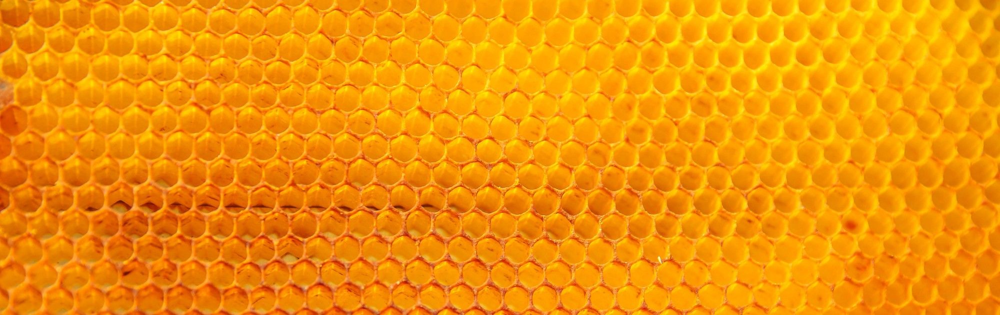 honeycomb