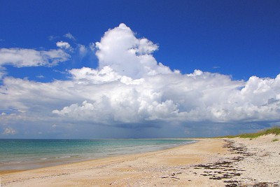 August at Shackleford Banks.jpg