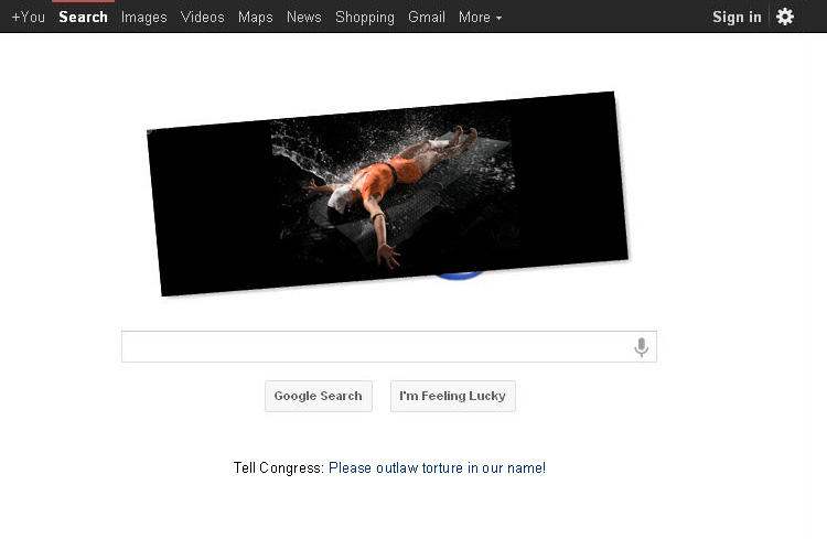 Google Waterboarding