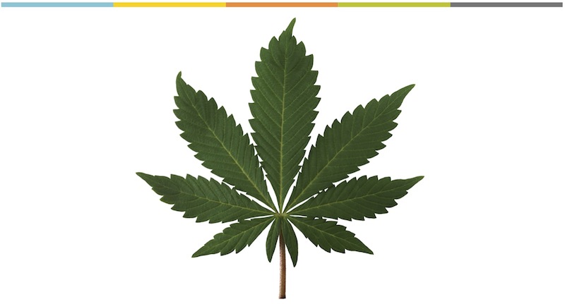 Jen Bekman sees art as a gateway drug