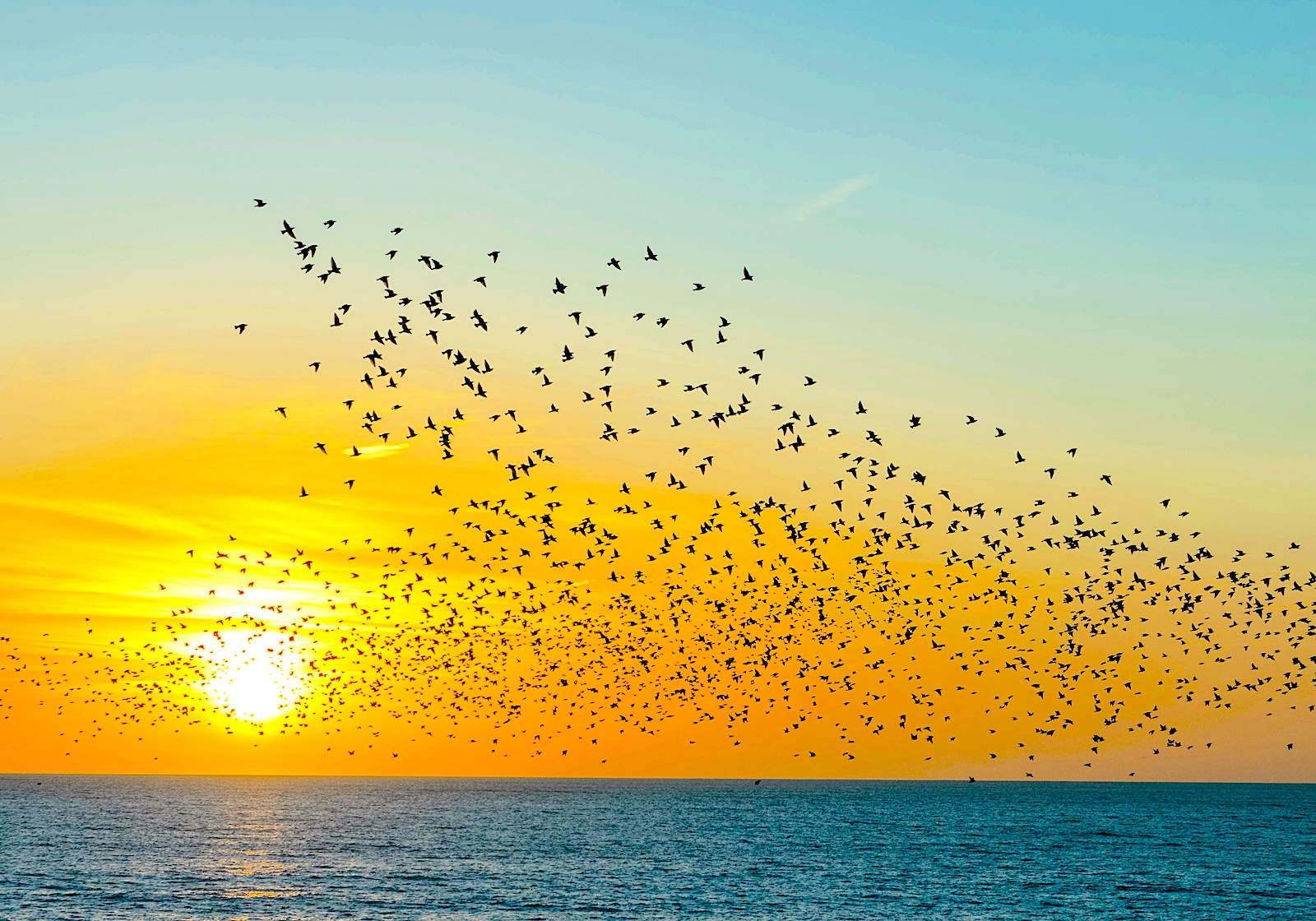 Bez kódování: Od nápadu k softwaru - Anil Dash