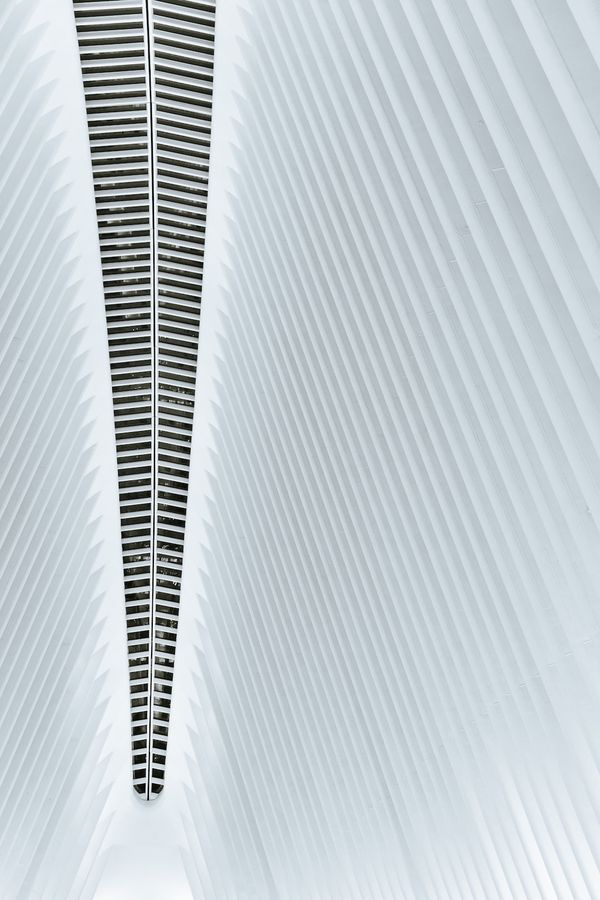 Sixteen is Letting Go Again