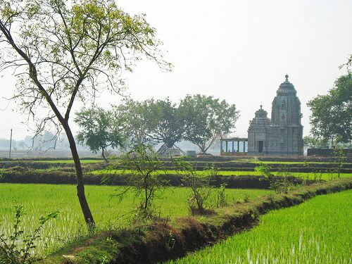 Rain, Rice, Gods and Gems